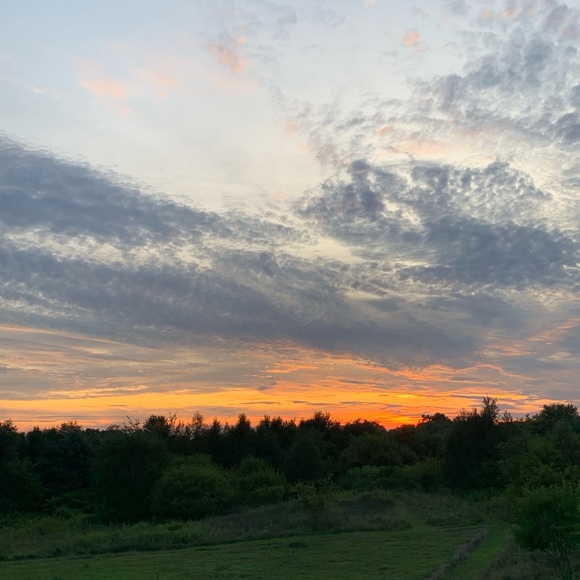 Meet your Posher, Delia - Picture 1 of 1